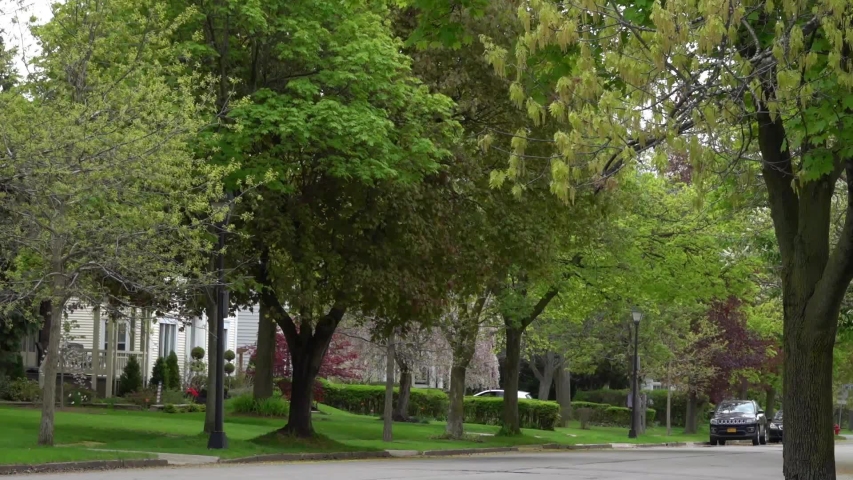 Beautiful spring in streets of Buffalo