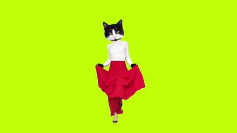Gif animation design. Kitty dancing flamencoin red skirt