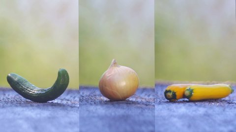 Cucumber, onion and zucchini in the garden on the table, collage, set of vertical videos.