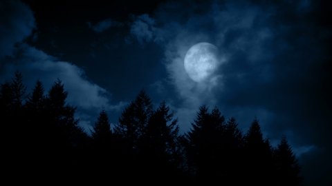 Large Full Moon Above The Forest
