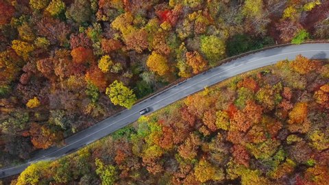 Overhead aerial view of cars on country road in sunny autumn forest.
