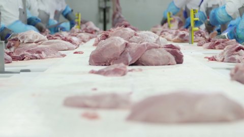Group of butchers working in a meat processing factory