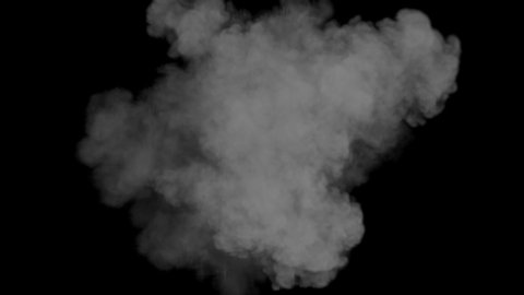 Smoke white explosion with alpha.3D rendering.You can place on footage or background.Easy to chacge color.