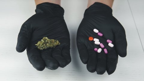 The person holds in his hand medical marijuana buds and pills. Cannabis is a concept of herbal medicine