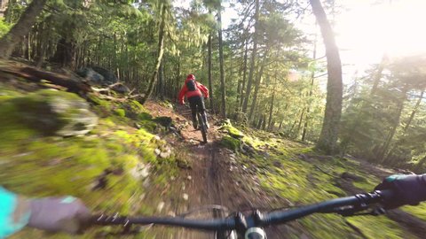 Two Friends Mountain Biking Through Green Forest At Sunset