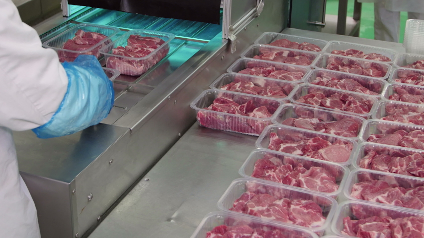 Packing of meat slices in boxes on a conveyor belt Royalty-Free Stock Footage #1035857864