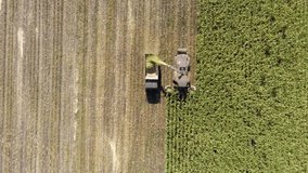 Corn harvesting with machinery from aerial top down shot in autumn