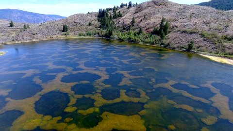 Spotted Lake In Osoyoos Stock Footage Video 100 Royalty Free Shutterstock Spotted Lake In Osoyoos Stock Footage Video 100 Royalty Free Shutterstock