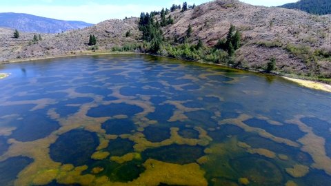 Spotted Lake In Osoyoos Stock Footage Video 100 Royalty Free Shutterstock