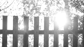 Old wooden rural fence in soft sunset sunlight. Real time full hd black and white video footage.