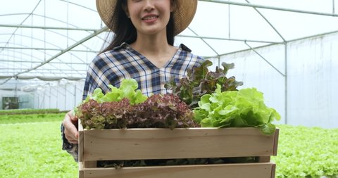 Asian beautiful farmer girl carrying box of vegetables green salad in hydroponic greenhouse farm. She moving the carriage box and smile looking at the camera. Slow motion footage. Agriculture business