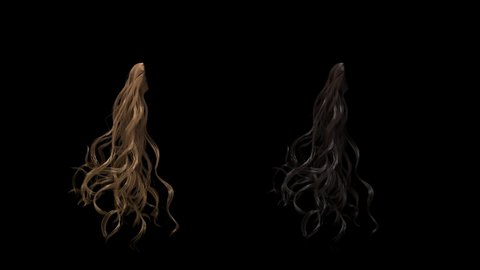 beautiful curly hair tress fluttering isolated on black with alpha, two colors brunette and blond