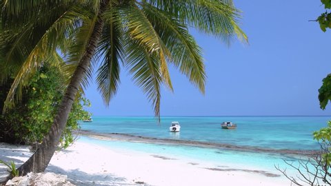 Tropical island. Wild and uninhabited beach. Travel destinations through palm tree leaves. Summer vacations
