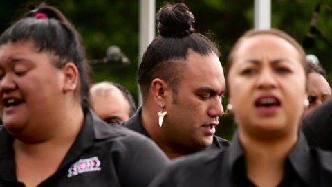 New Plymouth , Taranaki / New Zealand - 02 11 2019: Waitangi Day celebrations at Puke Ariki by Nga Purapura o Te Tai Hauauru