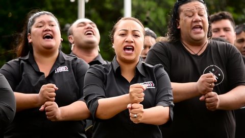 New Plymouth , Taranaki / New Zealand - 02 11 2019: Waitangi Day celebrations at Puke Ariki by Nga Purapura o Te Tai Hauauru