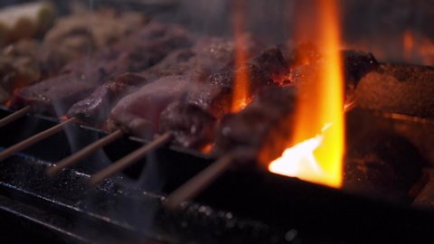 Tokyo 2020: Yakitori in Tokyo is very popular for both the locals and tourists. Omoide Yokocho in Shinjuku is the famous area for small yakitori bar/restaurants.