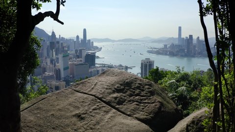 Hong Kong, Hong Kong SAR - August 4 2019: Drone Aerial of Hong Kong Island toward Victoria Harbour and Kowloon, Shot emerges from forest.