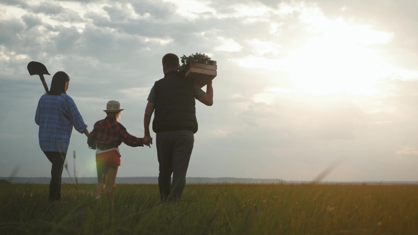Family farmers are walking along the field at sunset, carrying box with fresh vegetables and tools for farming. Organic farming and family business concept. Healthy family lifestyle. Harvest time. | Shutterstock HD Video #1035964802