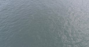 Aerial view beautiful of sea waves from drone. Stock video footage of blue color ocean water, wave, sea surface. Top view on turquoise waves, clear water surface texture. Top view, amazing nature back