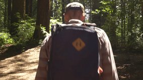 Man walking along forest trail