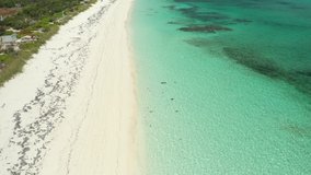 Aerial Drone Video of a beautiful tropical caribbean beach
