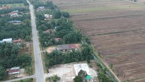 Aerial cinemaic shot straight road beside the palm plantation and paddy field somewhere in rural area in Malaysia. Video contain some grain, noise and soft focus.