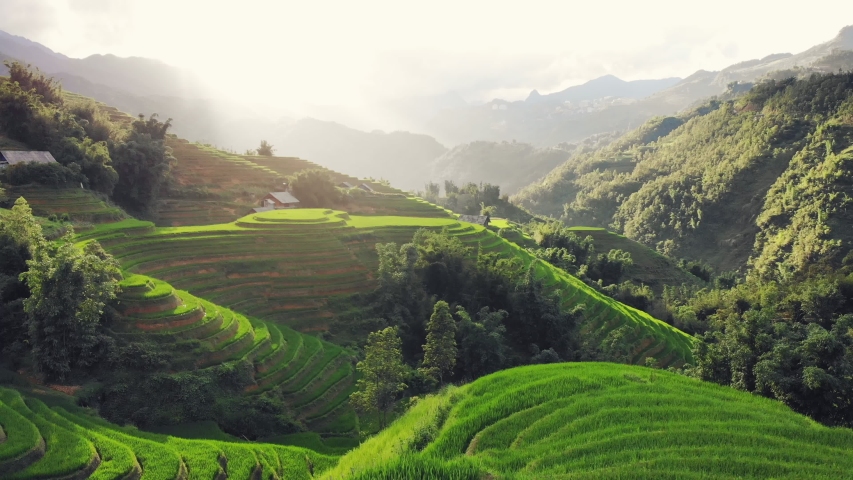 Aerial 4k video in an amazing landscape, with drone, above rice terraces in a beautiful day. | Shutterstock HD Video #1036030703