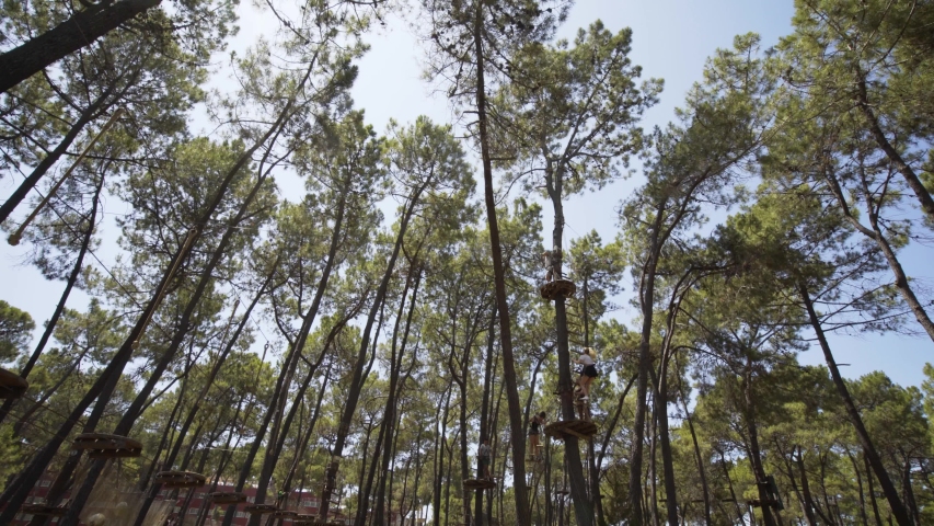 Wide view of climbers traversing obstacles in Tree top adventure Park