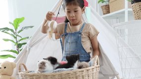 video of Asian little girl playing with her kitten at home.