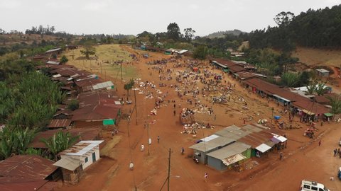 Tilting drone flight of busy local farmers market in tribal village of Dorze, traditional rural community in Ethiopia Africa

