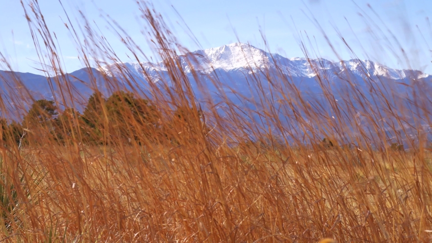 4K UHD Cinematic Pikes Peak Snow Capped Mountain Field with Jogger