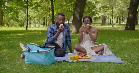 Beautiful african-american couple enjoying picnic time in summer park