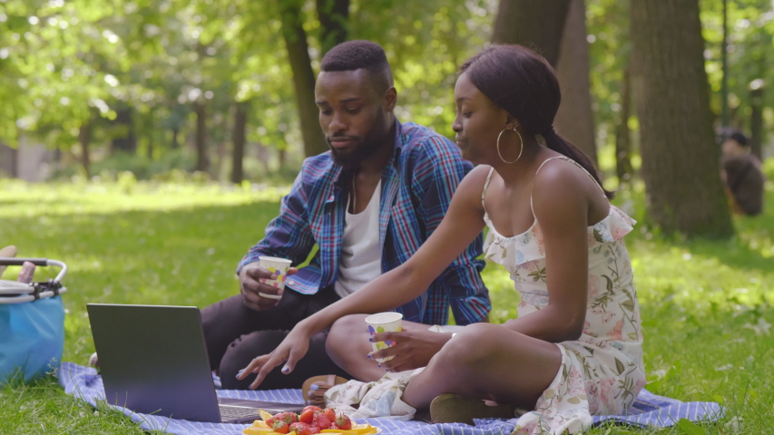 Beautiful young african-american couple having picnic and using laptop in park