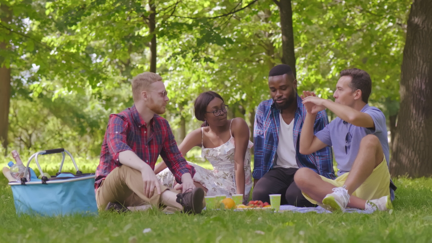 Young mixed-race people enjoying springtime together in park during picnic Royalty-Free Stock Footage #1036072253