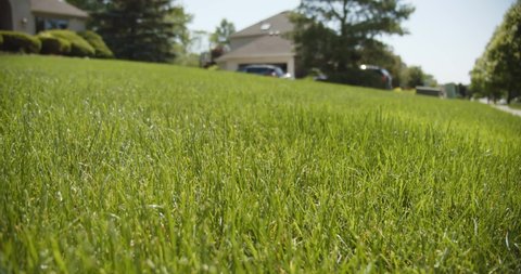 Beautiful view of front yard, green grass lawn, Close up, Slow motion