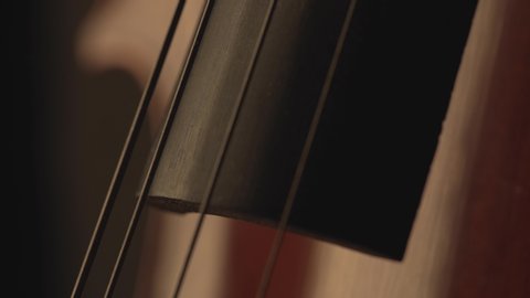 macro close up of cello, cello bow , cello playing and strings