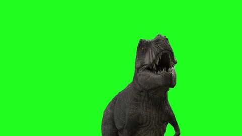 dinosaur T-Rex loop walking on a green channel