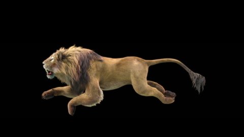 lion Run Zoo CG fur 3d rendering animal realistic CGI VFX Animation Loop Crowd dance composition 3d mapping cartoon Motion Background,with Alpha Channel