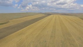  Flight over yellow agricultural fields after harvesting time, aerial video