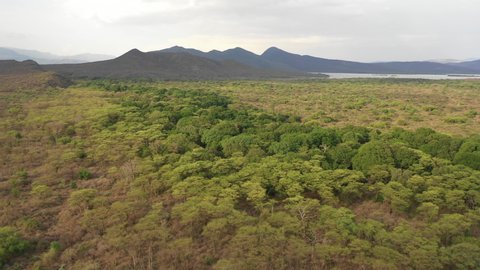 Flying over spectacular green forest of Nechisar national park in South Ethiopia, wilderness and beautiful scenery in Africa
