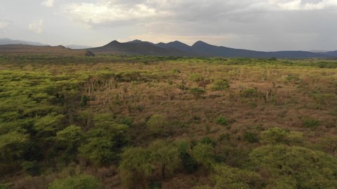 Drone flight over relatively dry part of Nechisar national park in Ethiopia
