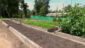 Completed Raised Planter Beds For Village Compound In Thailand