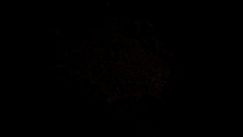 Super Slow Motion Shot of Cocoa Powder Explosion Isolated on Black Background at 1000fps. Royalty-Free Stock Footage #1036165664