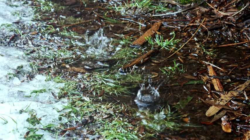 A line of water dripping into a puddle of water on the ground with snow, grass and leaves.