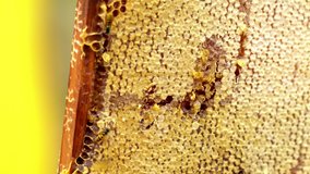 Closeup on fresh honey comb on a wooden frame, tray or rack straight from the hive