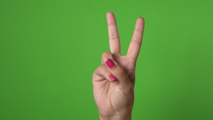 Closeup of isolated female hand counting from 0 to 5. Woman shows fist fist, then one, two, three, four, five fingers. Manicured nails painted with beautiful modern purple, pink polish. Math concept.