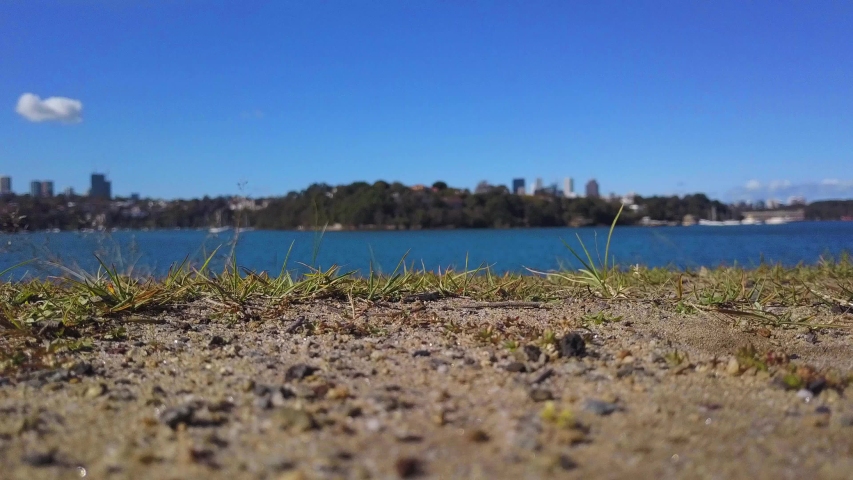 Sandy Ground - Sydney
