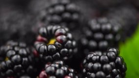 Blackberry closeup rotating background. Fresh Ripe organic black berries with green leaf rotation backdrop close-up. Bio Blackberries, macro shot, Healthy food  background. Market. Vegan food. 4K UHD