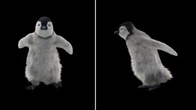 Penguin Dancing, realistic Animation 3D, cartoon 3d mapping, Included in the end of the clip with Luma matte. - Powered by Shutterstock - Get 15% off with code: PIKWIZARD15