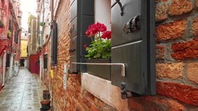 VENICE, Italy - May 2019: Traditional italian street with retro houses after the rain, shutters on the windows. Flowers grow on the windowsill. Slow motion. - Powered by Shutterstock - Get 15% off with code: PIKWIZARD15